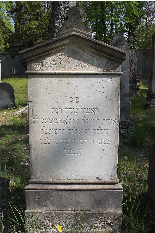 Grabstein Nummer 294 auf dem Friedhof Potsdam