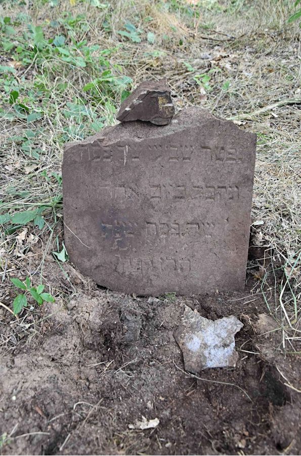 Grabstein Nummer 73 auf dem Friedhof Trzemeszno Lubuskie (Schermeisel)