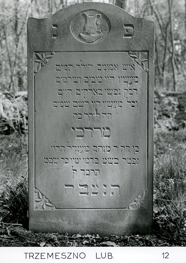 Grabstein Nummer 86 auf dem Friedhof Trzemeszno Lubuskie (Schermeisel)