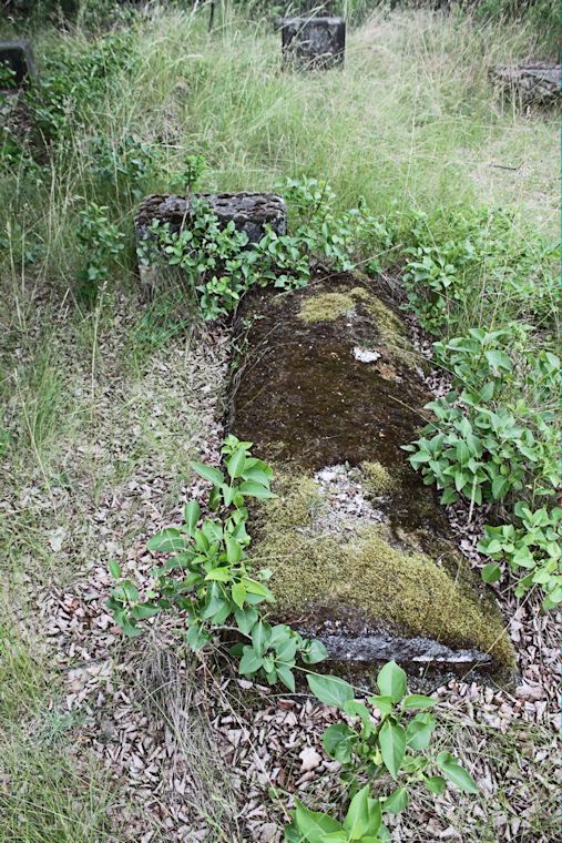 Grabstein Nummer 28 auf dem Friedhof Zasieki (Forst)