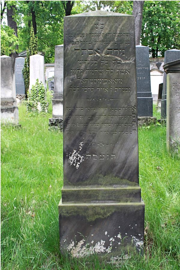 Grabstein Nummer 230 auf dem Friedhof Potsdam