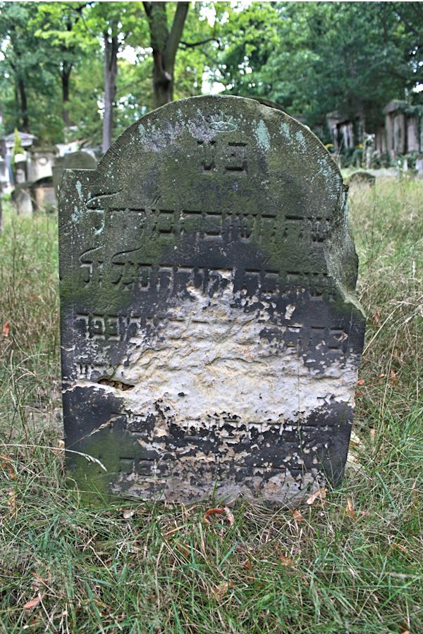 Grabstein Nummer 88 auf dem Friedhof Potsdam