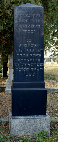 Grabstein Nummer 113 auf dem Friedhof Schwedt