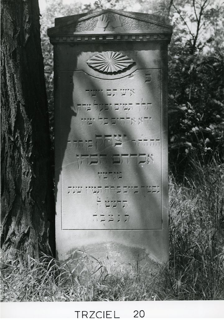 Grabstein Nummer 100 auf dem Friedhof Trzciel (Tirschtiegel)