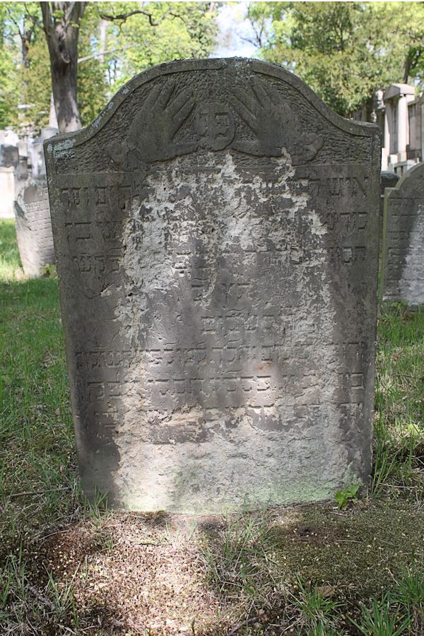 Grabstein Nummer 82 auf dem Friedhof Potsdam