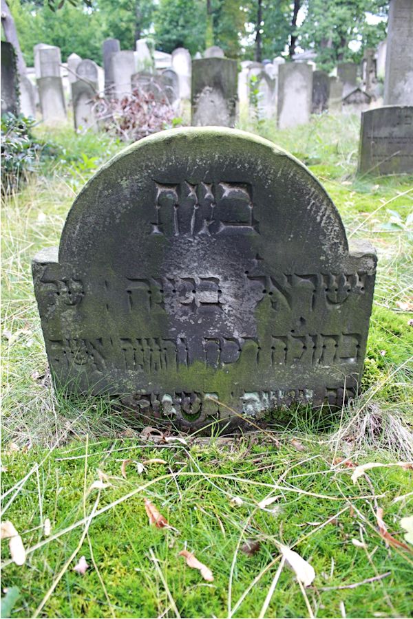 Grabstein Nummer 117 auf dem Friedhof Potsdam