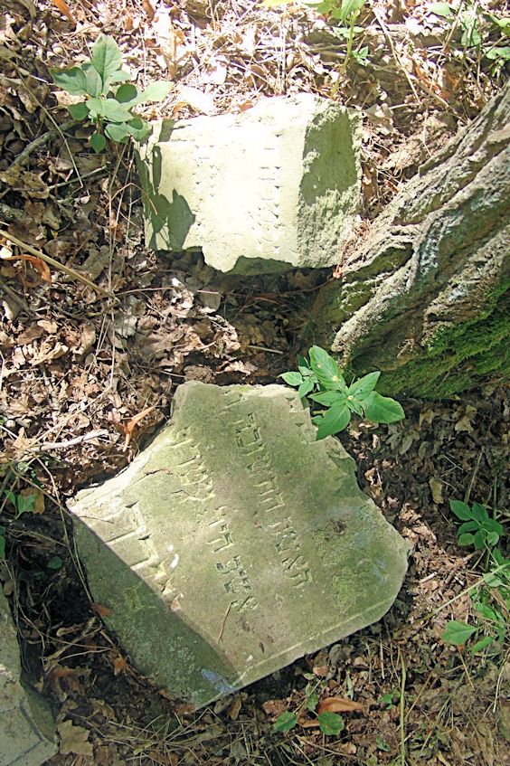 Grabstein Nummer 43 auf dem Friedhof Trzciel (Tirschtiegel)