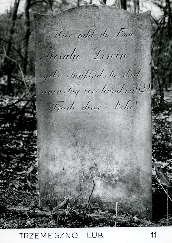 Grabstein Nummer 90 auf dem Friedhof Trzemeszno Lubuskie (Schermeisel)