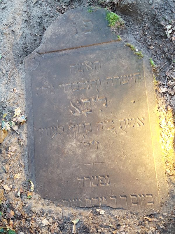 Grabstein Nummer 11 auf dem Friedhof Beeskow