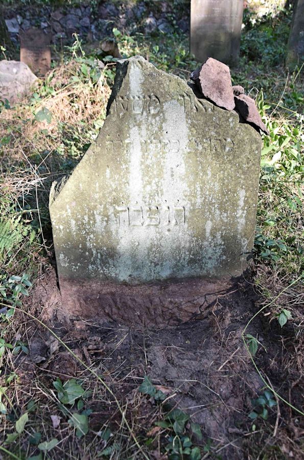 Grabstein Nummer 77 auf dem Friedhof Trzemeszno Lubuskie (Schermeisel)