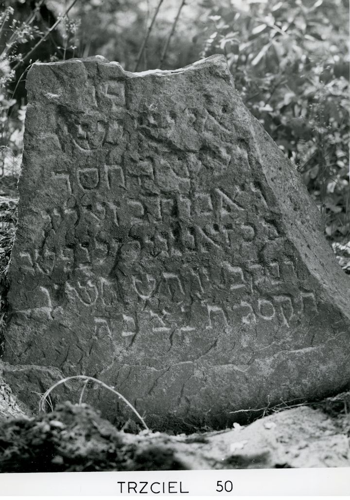 Grabstein Nummer 57 auf dem Friedhof Trzciel (Tirschtiegel)