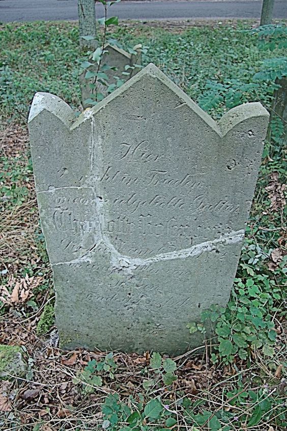 Grabstein Nummer 30 auf dem Friedhof Trzciel (Tirschtiegel)