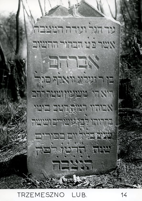 Grabstein Nummer 60 auf dem Friedhof Trzemeszno Lubuskie (Schermeisel)