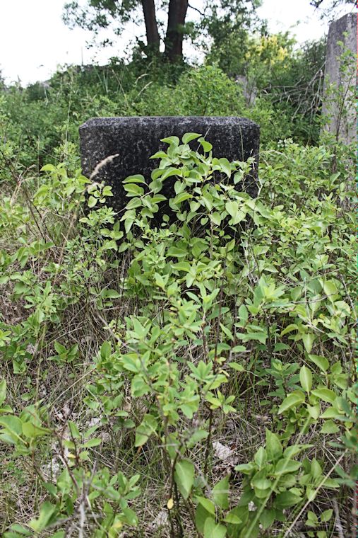 Grabstein Nummer 26 auf dem Friedhof Zasieki (Forst)