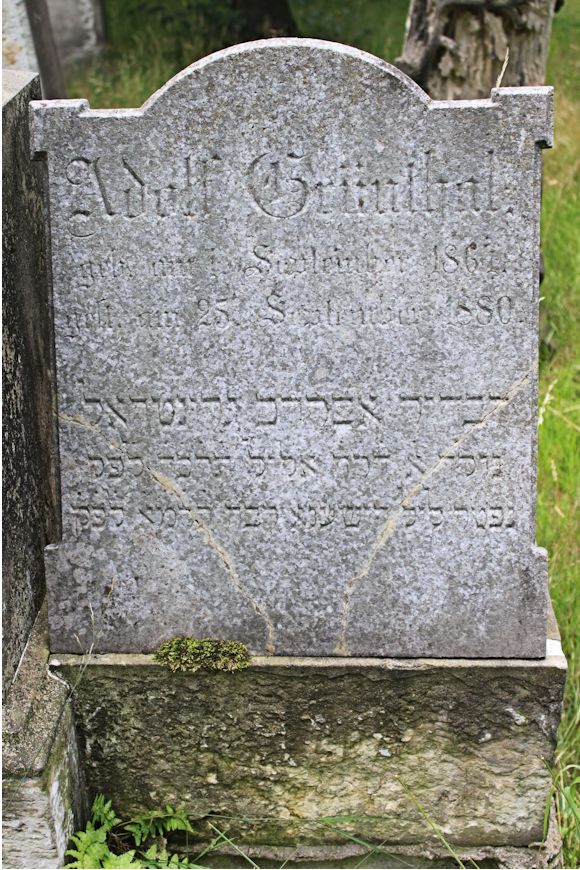 Grabstein Nummer 2572 auf dem Friedhof Potsdam