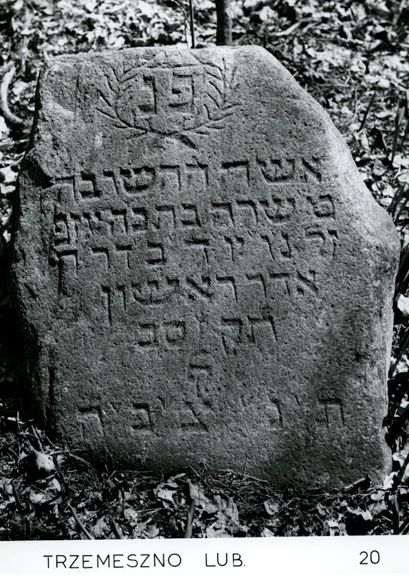 Grabstein Nummer 7 auf dem Friedhof Trzemeszno Lubuskie (Schermeisel)