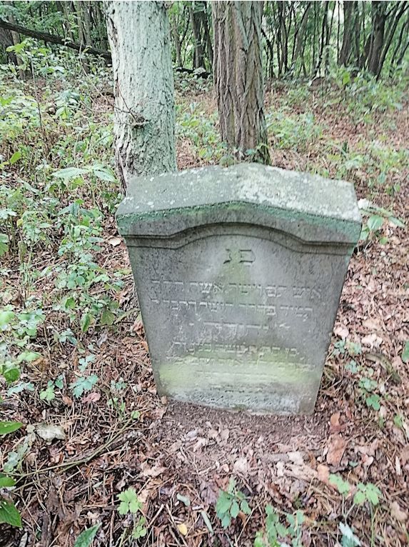 Grabstein Nummer 132 auf dem Friedhof Trzciel (Tirschtiegel)