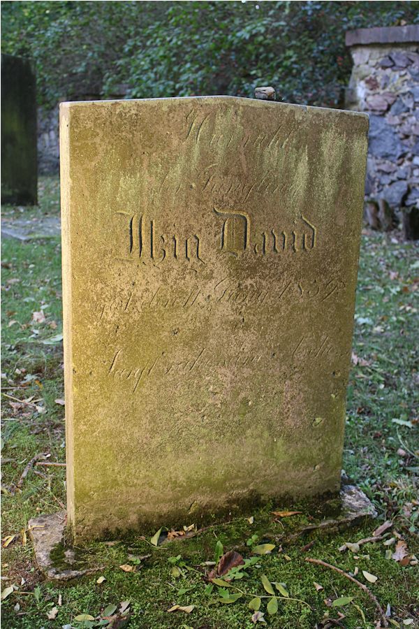 Grabstein Nummer 43 auf dem Friedhof Storkow