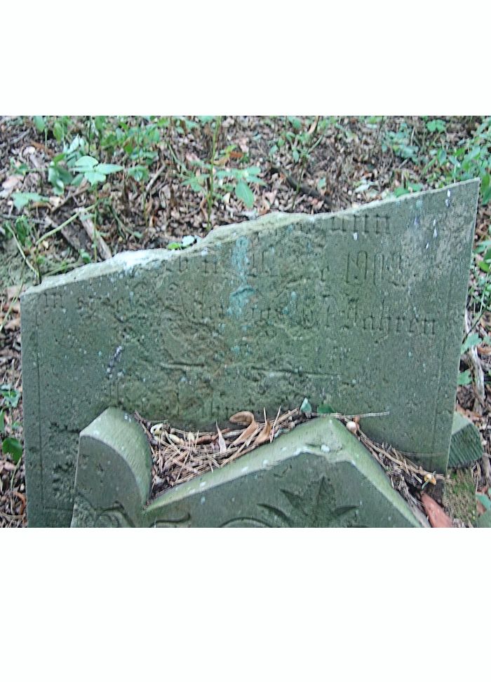 Grabstein Nummer 110 auf dem Friedhof Trzciel (Tirschtiegel)