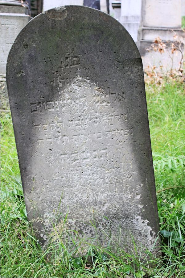 Grabstein Nummer 250 auf dem Friedhof Potsdam