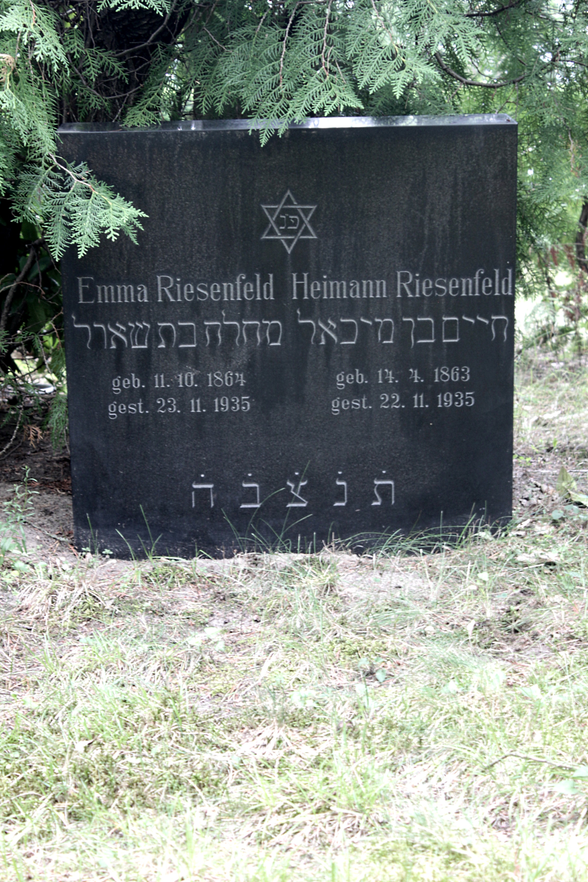 Grabstein Nummer 12 auf dem Friedhof Cottbus 1