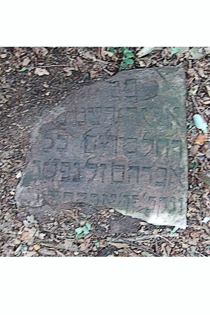 Grabstein Nummer 153 auf dem Friedhof Trzciel (Tirschtiegel)