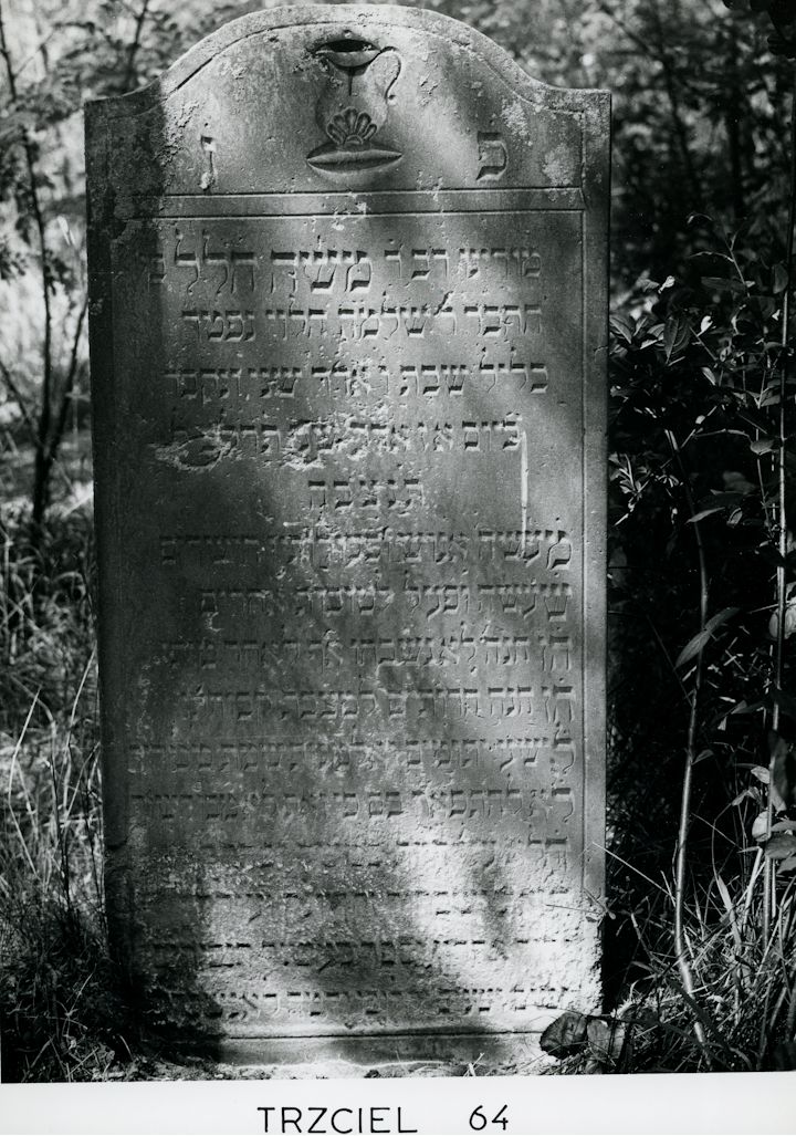 Grabstein Nummer 116 auf dem Friedhof Trzciel (Tirschtiegel)