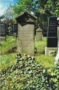 Grabstein Nummer 61 auf dem Friedhof Prenzlau