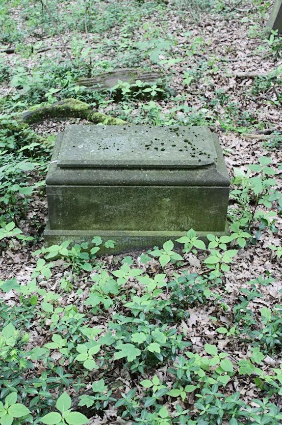 Grabstein Nummer 27 auf dem Friedhof Torzym (Sternberg)
