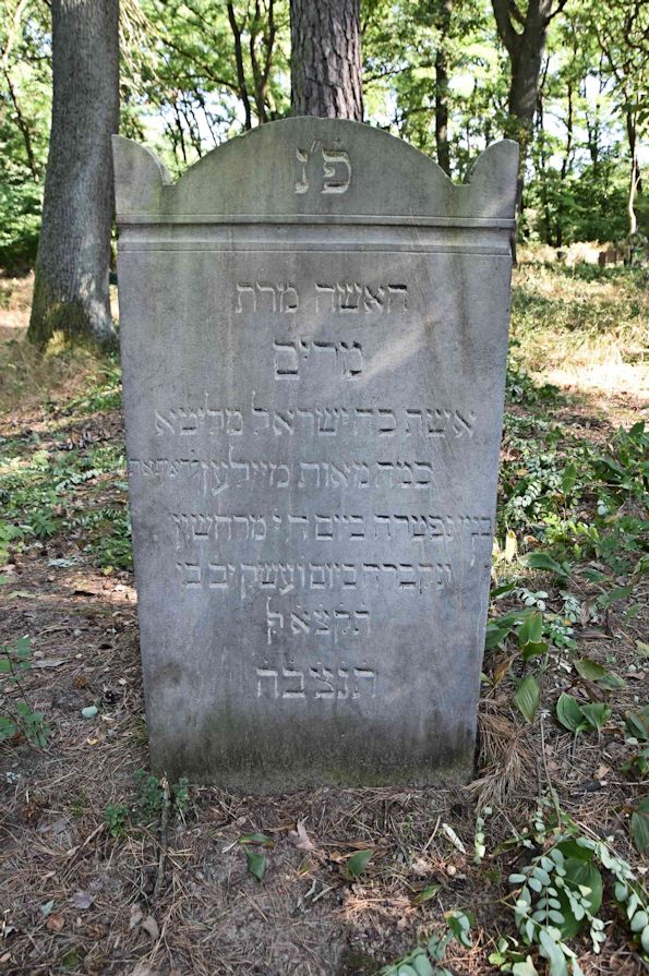 Grabstein Nummer 6 auf dem Friedhof Trzemeszno Lubuskie (Schermeisel)