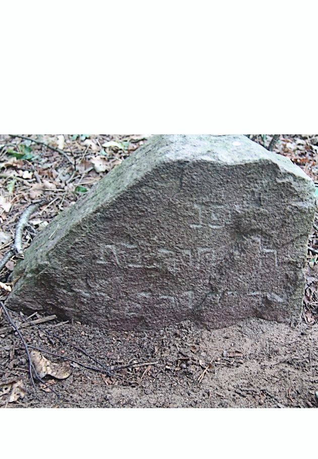 Grabstein Nummer 86 auf dem Friedhof Trzciel (Tirschtiegel)