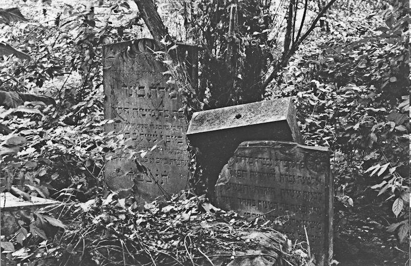 Grabstein Nummer 6 auf dem Friedhof Chojna (Königsberg)