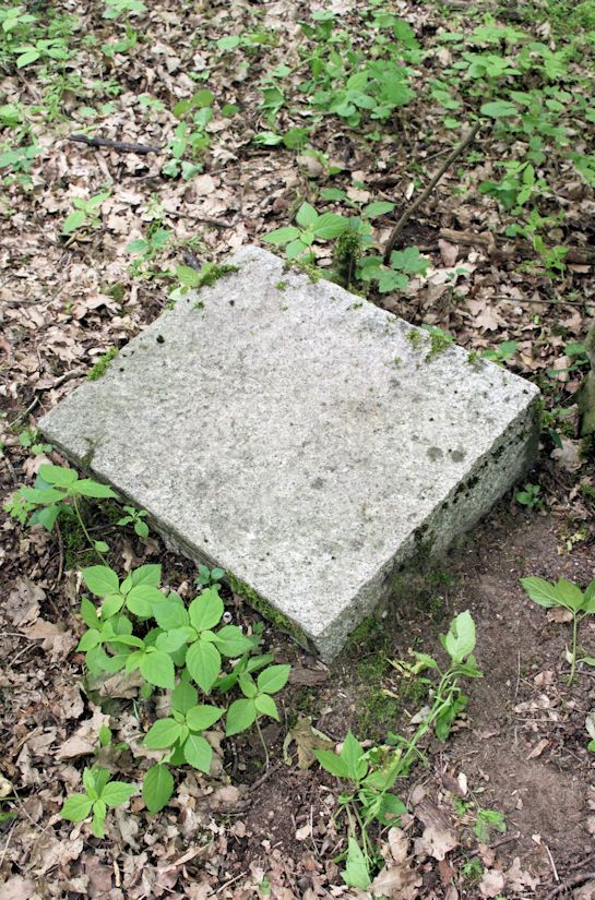 Grabstein Nummer 24 auf dem Friedhof Torzym (Sternberg)