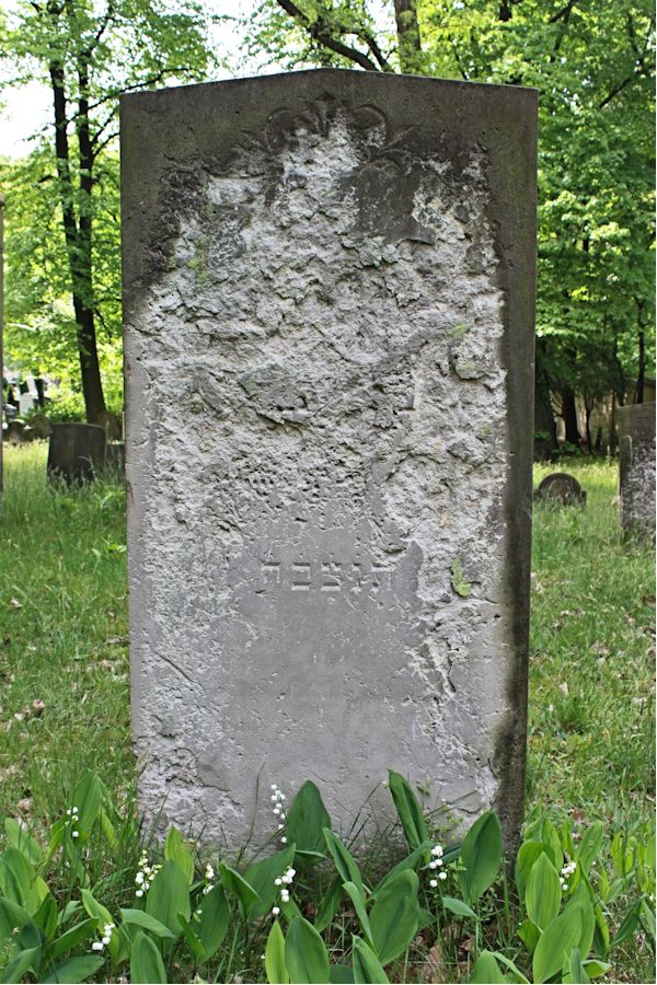 Grabstein Nummer 183 auf dem Friedhof Potsdam