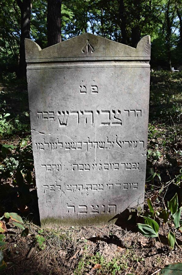Grabstein Nummer 25 auf dem Friedhof Trzemeszno Lubuskie (Schermeisel)
