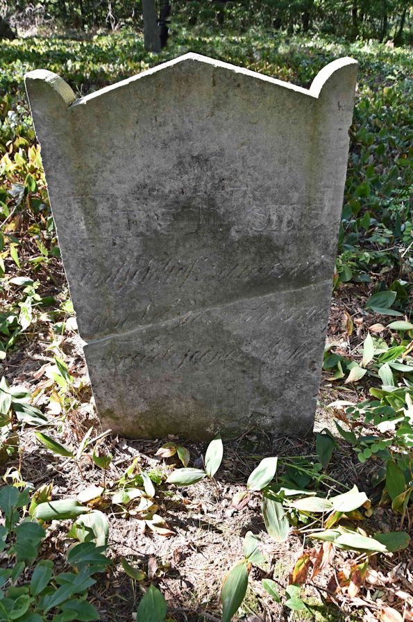 Grabstein Nummer 25 auf dem Friedhof Trzemeszno Lubuskie (Schermeisel)