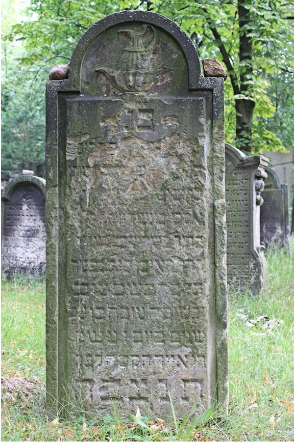 Grabstein Nummer 19 auf dem Friedhof Potsdam