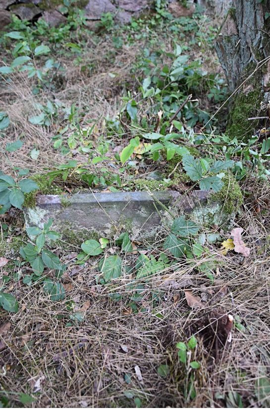 Grabstein Nummer 117 auf dem Friedhof Trzemeszno Lubuskie (Schermeisel)