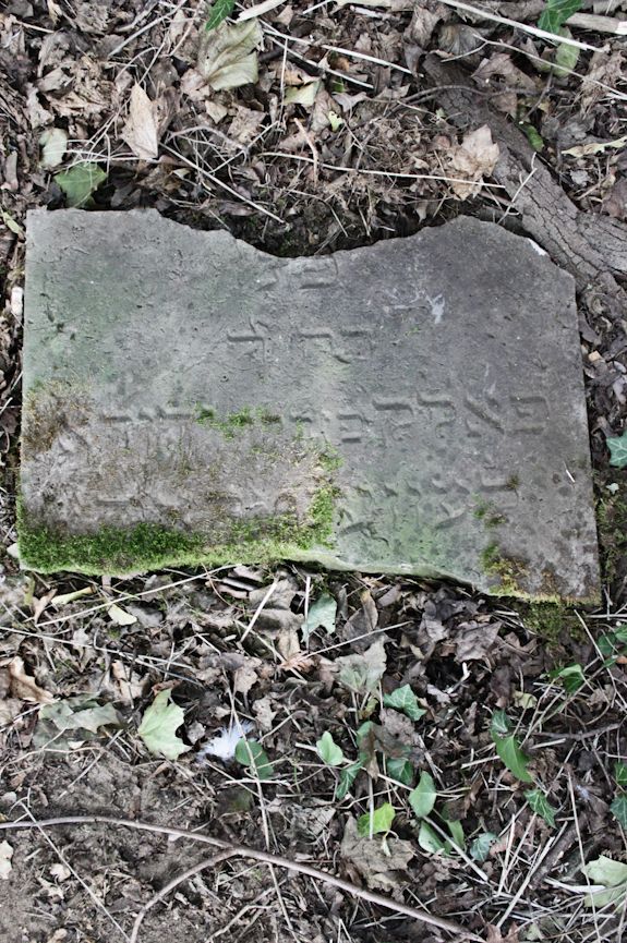 Grabstein Nummer 13 auf dem Friedhof Świętojańsko (St. Johannes)