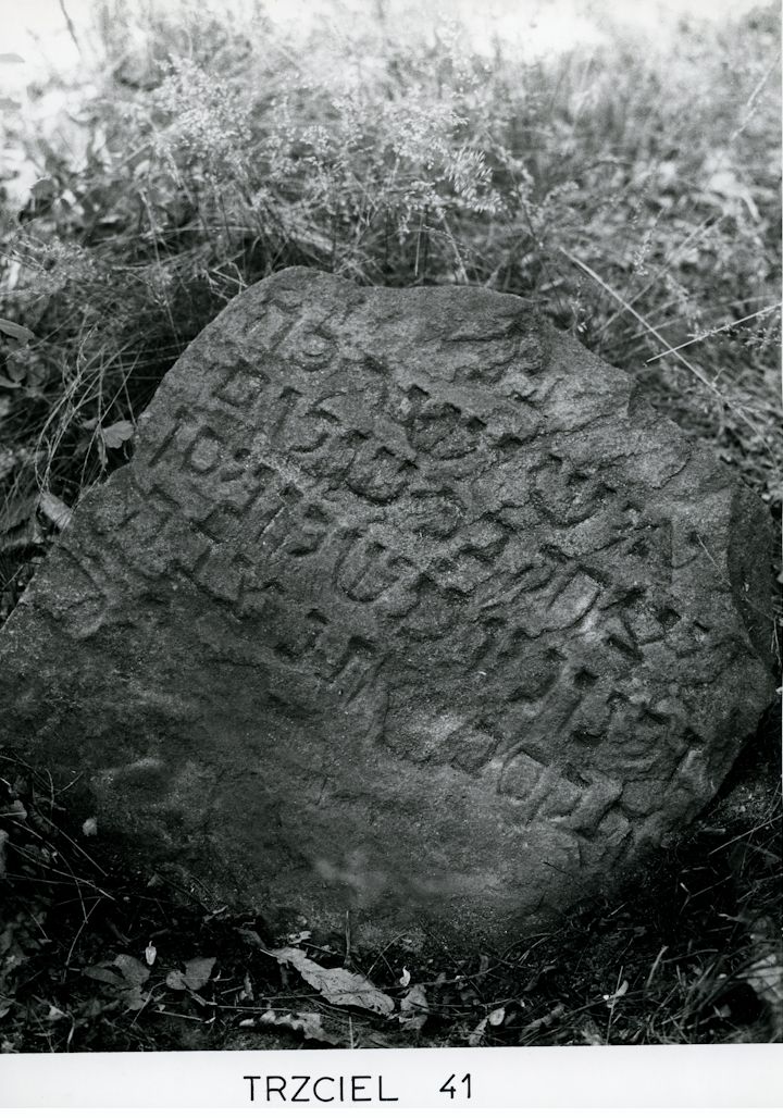 Grabstein Nummer 81 auf dem Friedhof Trzciel (Tirschtiegel)