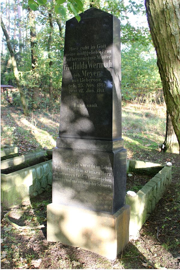 Grabstein Nummer 8 auf dem Friedhof Friedland