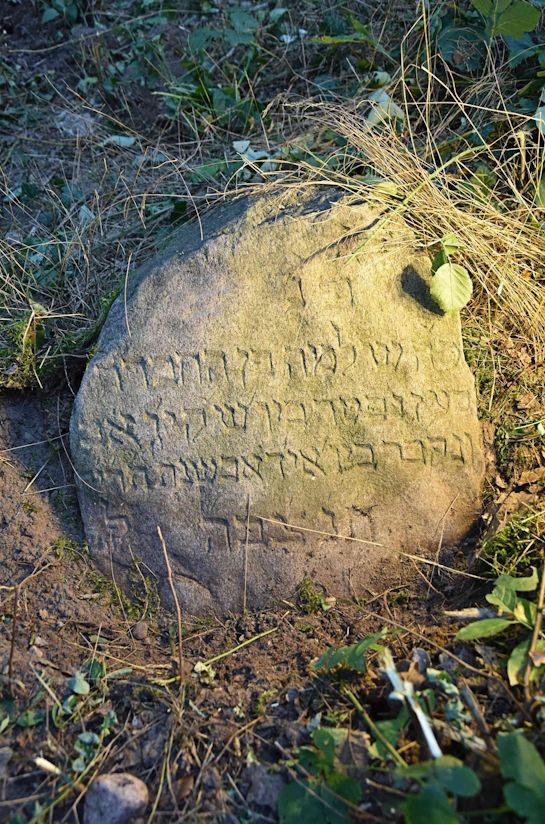 Grabstein Nummer 98 auf dem Friedhof Trzemeszno Lubuskie (Schermeisel)