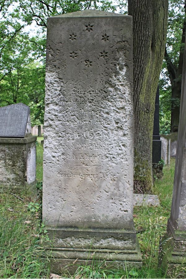 Grabstein Nummer 224 auf dem Friedhof Potsdam