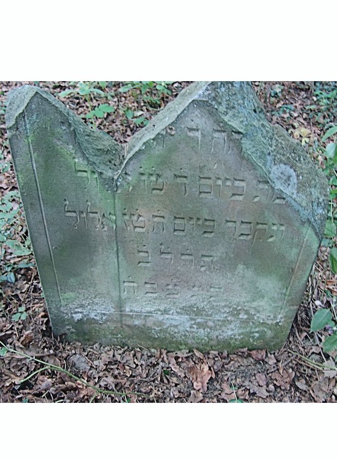 Grabstein Nummer 33 auf dem Friedhof Trzciel (Tirschtiegel)