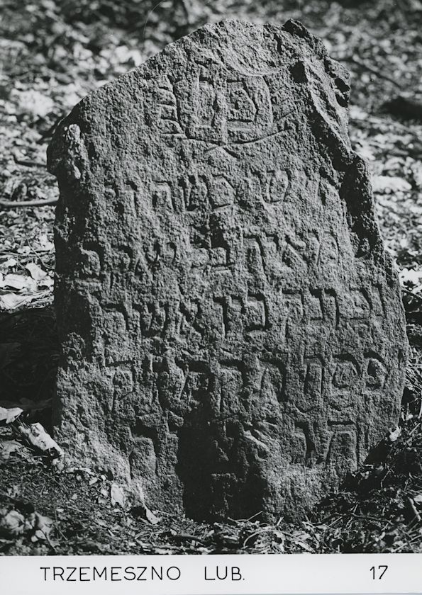 Grabstein Nummer 23 auf dem Friedhof Trzemeszno Lubuskie (Schermeisel)