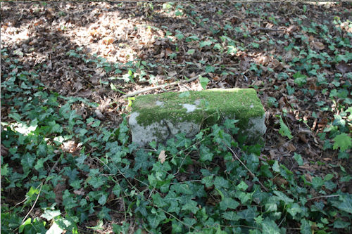 Grabstein Nummer 59 auf dem Friedhof Beelitz