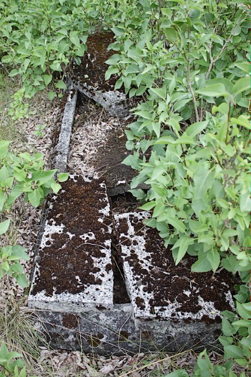 Grabstein Nummer 42 auf dem Friedhof Zasieki (Forst)