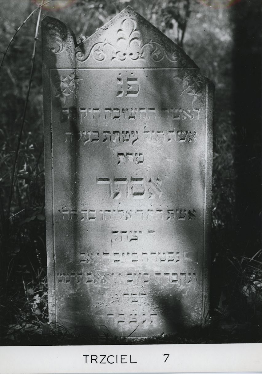 Grabstein Nummer 16 auf dem Friedhof Trzciel (Tirschtiegel)