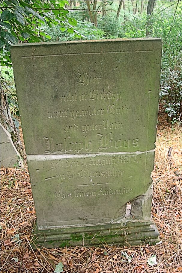 Grabstein Nummer 98 auf dem Friedhof Trzciel (Tirschtiegel)