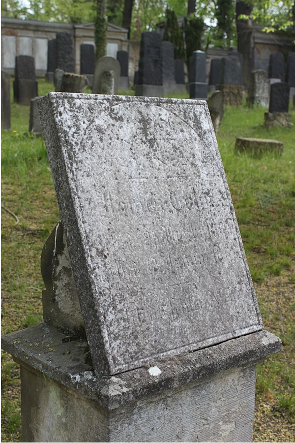 Grabstein Nummer 382 auf dem Friedhof Potsdam
